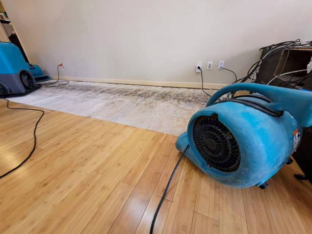 Professional Sewage Cleanup technician working in Forest Junction, WI